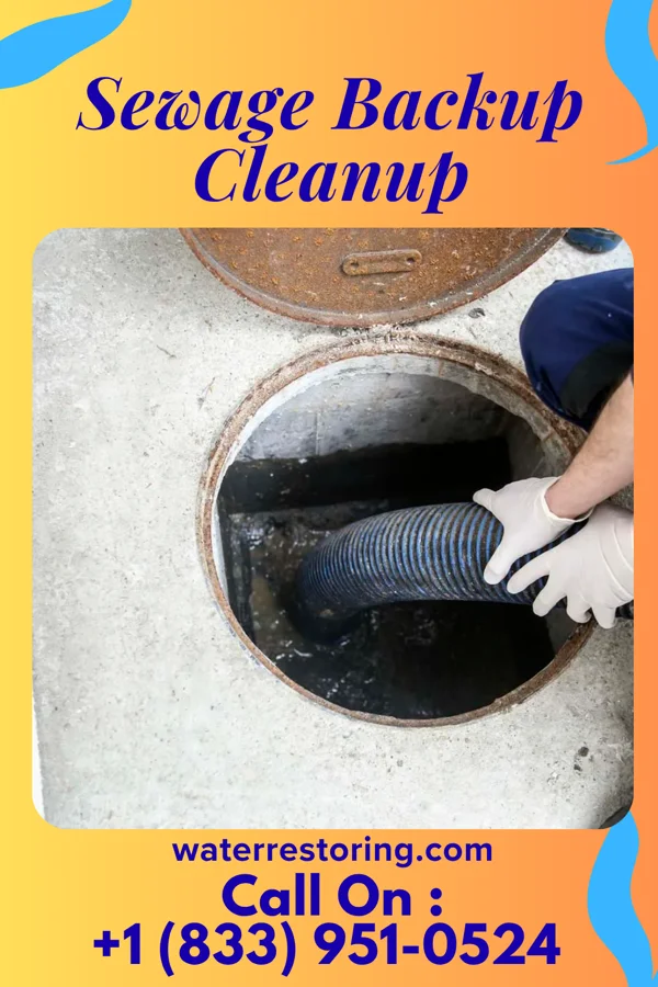 Sewage Backup Cleanup in Farmersburg, IN